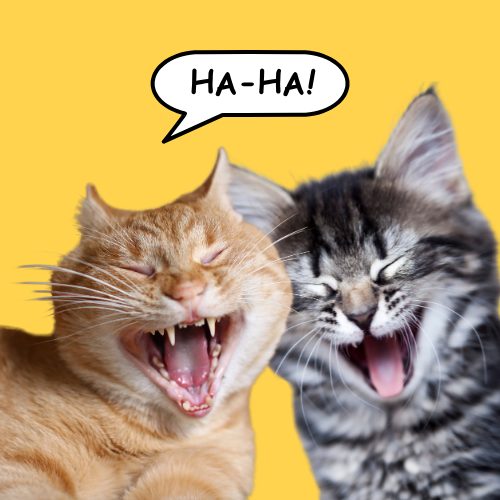 Humor & Sarcasm