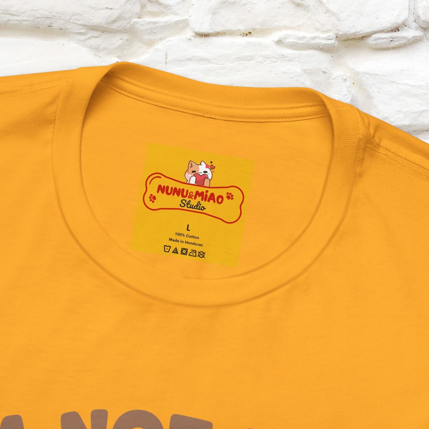 "I'm Not Lazy I'm In Energy-Saving Mode " Cat T-shirt |Nunu&Miao Studio