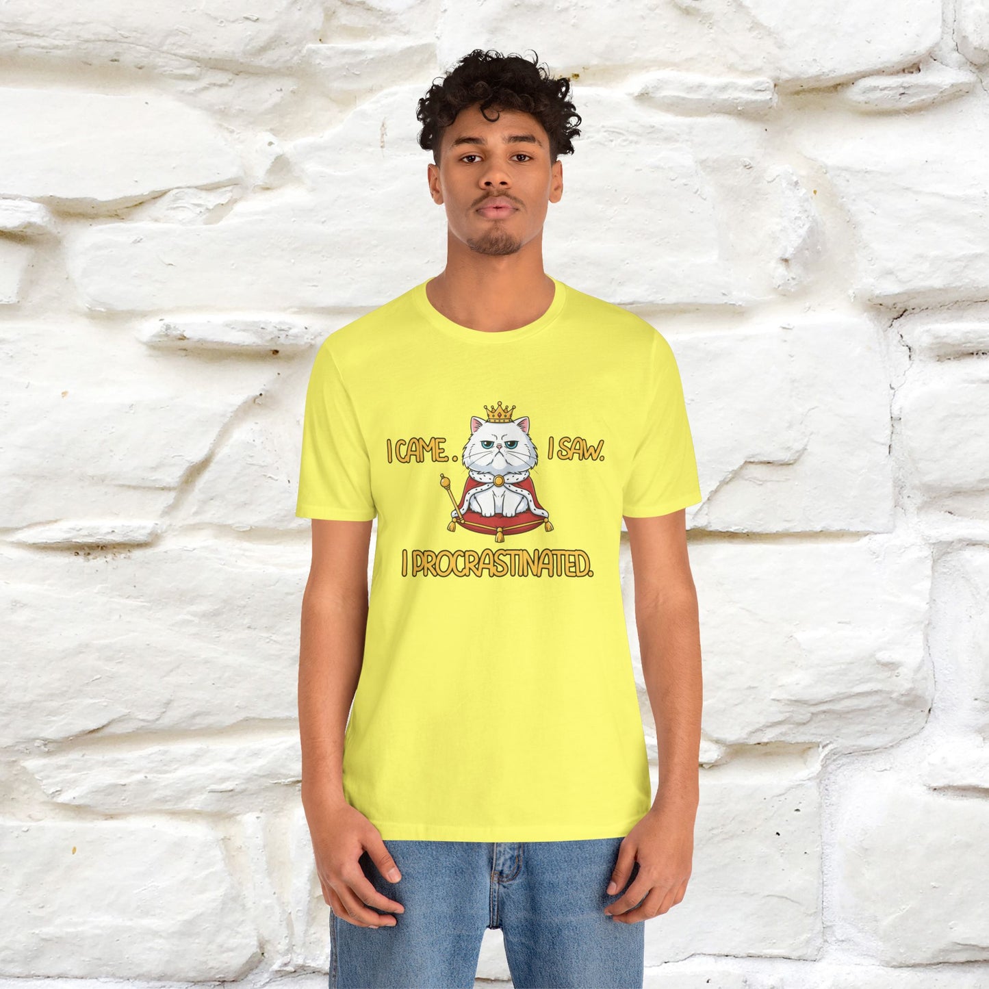 ''I came. I saw. I procrastinated.''| Funny T-Shirt | Nunu&Miao Studio