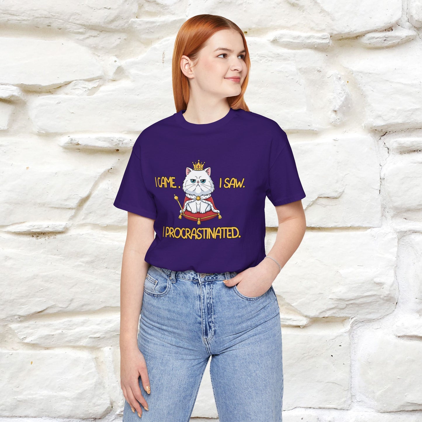 ''I came. I saw. I procrastinated.''| Funny T-Shirt | Nunu&Miao Studio