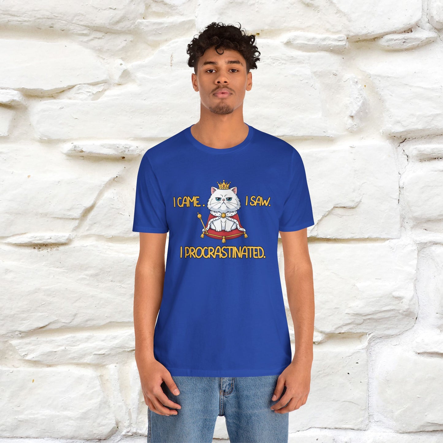 ''I came. I saw. I procrastinated.''| Funny T-Shirt | Nunu&Miao Studio