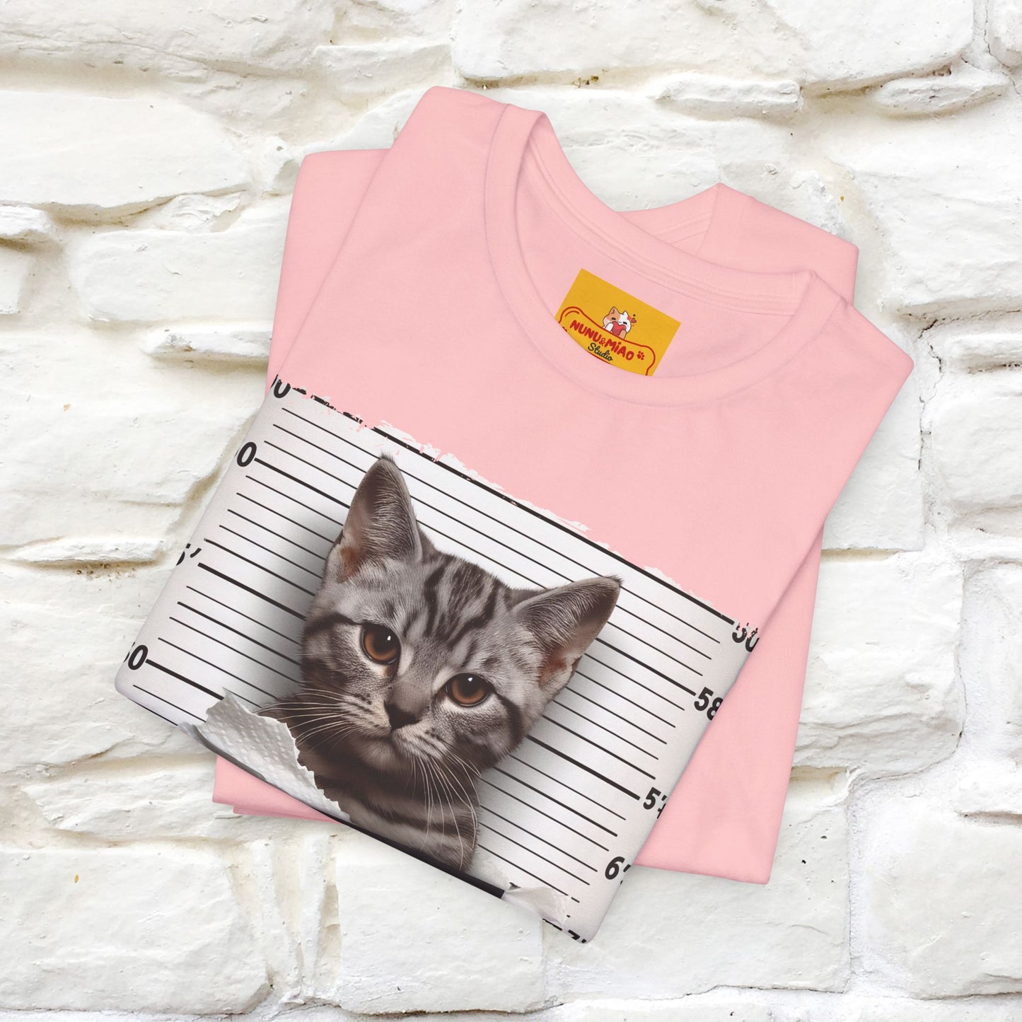 ''I Tore The Toilet Paper'' | Funny Cat T-Shirt | Nunu&Miao Studio