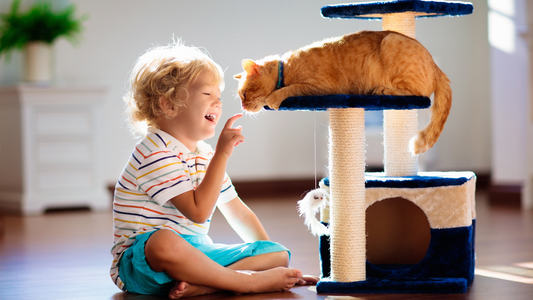 The Secret Language of Cats: Understanding Feline Communication 🐾