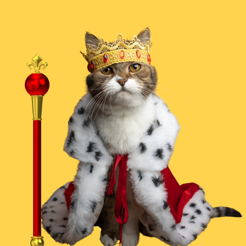 Paws for Justice