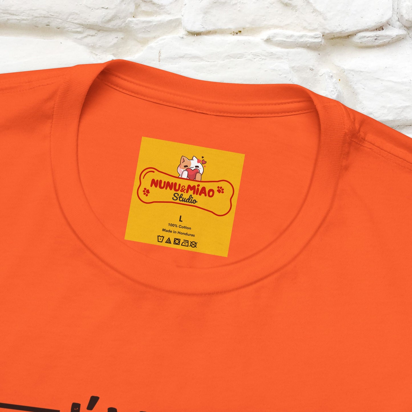 Non sto discutendo, sto spiegando perché ho ragione T-shirt con gatto per uomo e donna | 100% cotone* Maglietta divertente