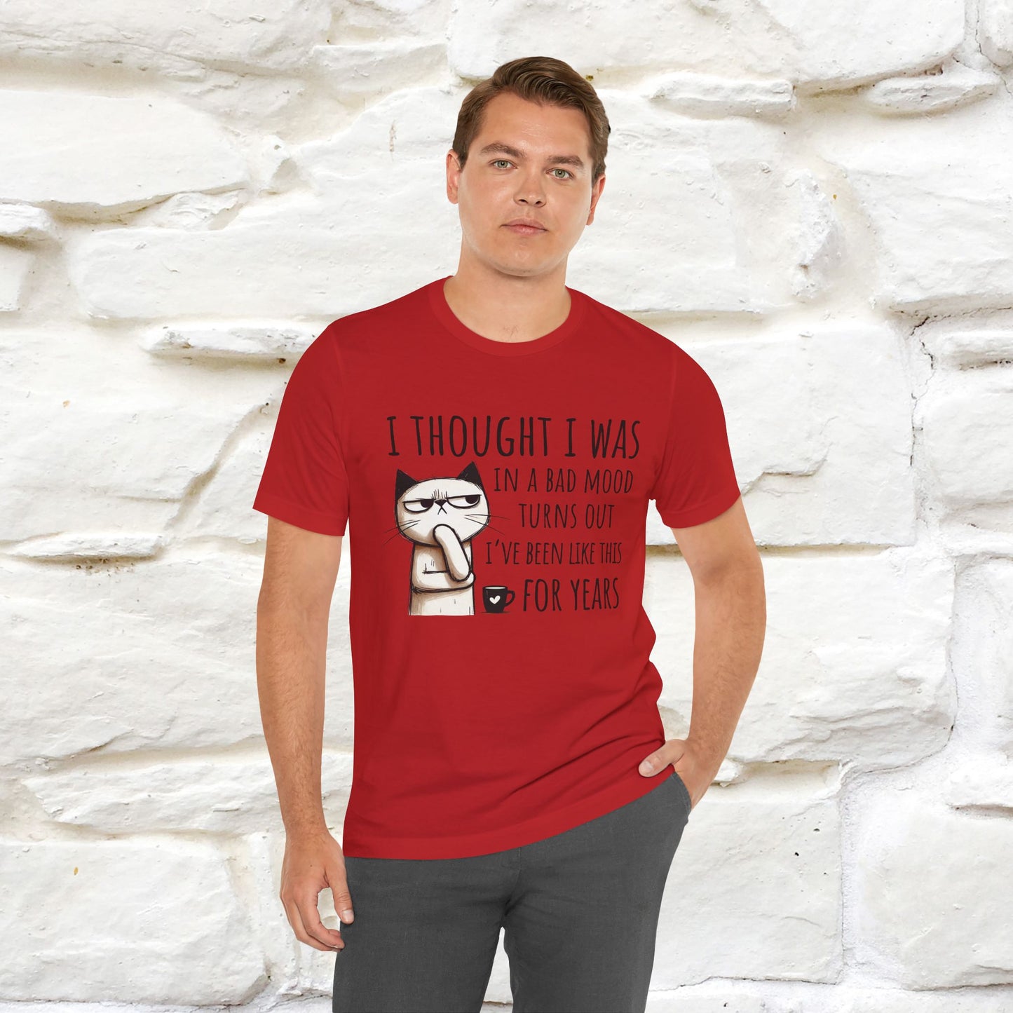 "I Thought I was In A Bad Mood.. " Cat  T-shirt |Nunu&Miao Studio