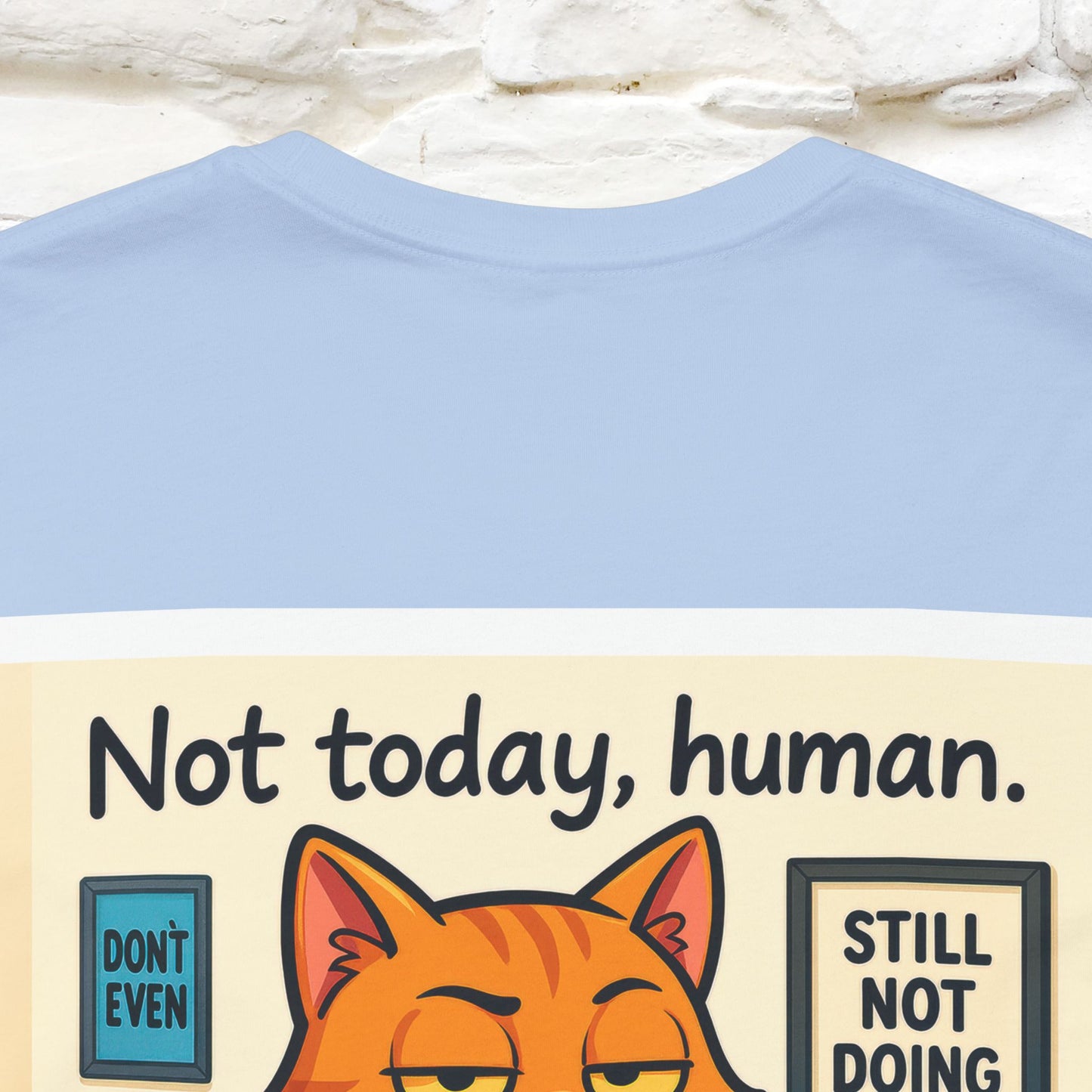 ''Not Today, Human''|  Sarcastic Cat T-Shirt | Front & Back Design | Nunu&Miao Studio