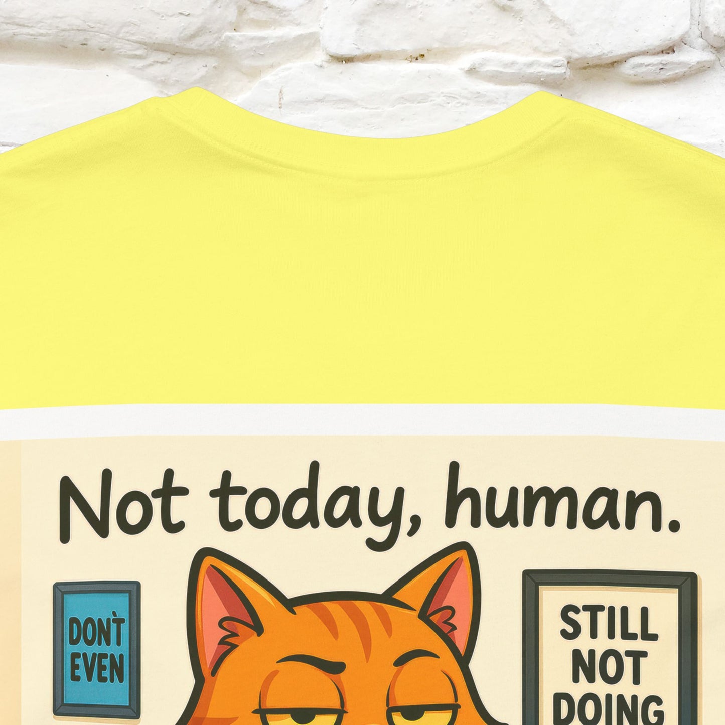 ''Not Today, Human''|  Sarcastic Cat T-Shirt | Front & Back Design | Nunu&Miao Studio