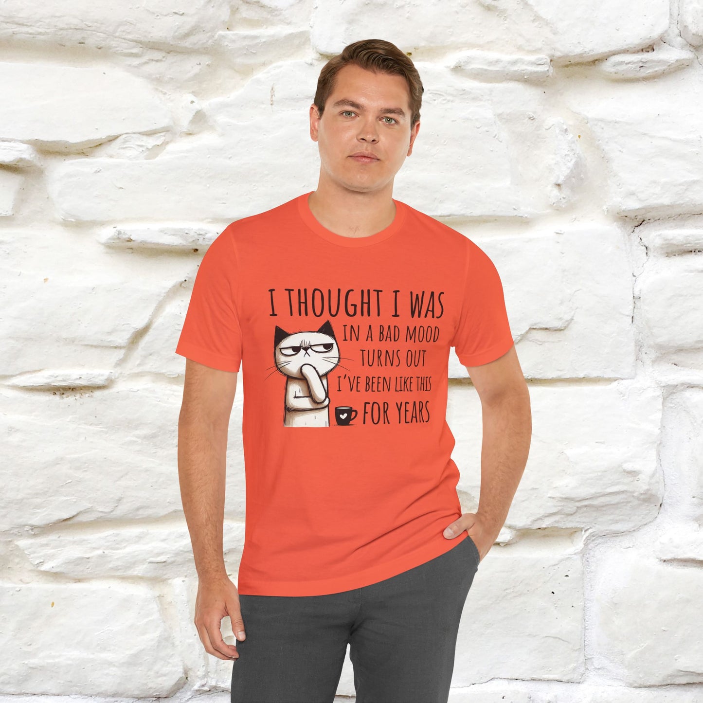 "I Thought I was In A Bad Mood.. " Cat  T-shirt |Nunu&Miao Studio
