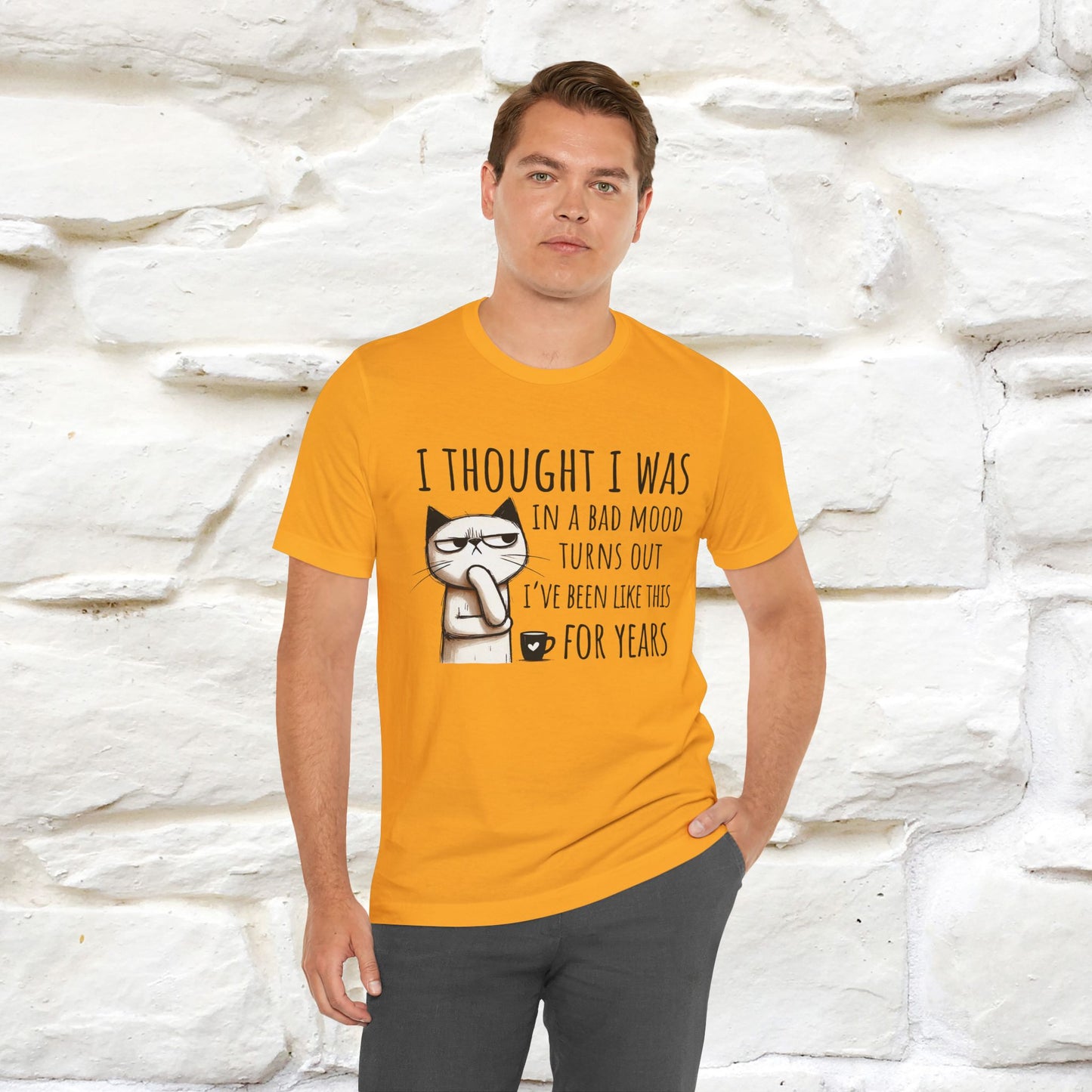 "I Thought I was In A Bad Mood.. " Cat  T-shirt |Nunu&Miao Studio