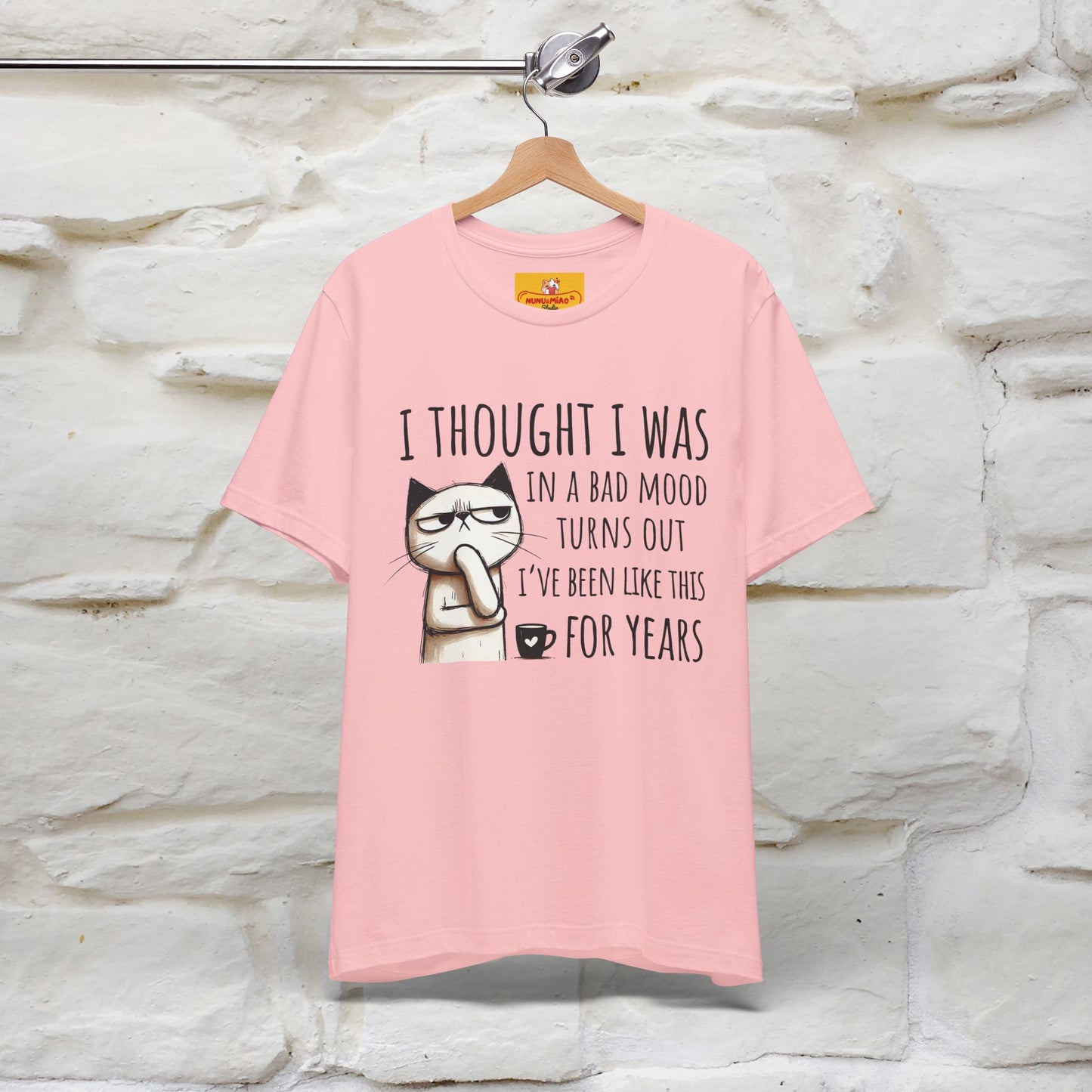 "I Thought I was In A Bad Mood.. " Cat  T-shirt |Nunu&Miao Studio