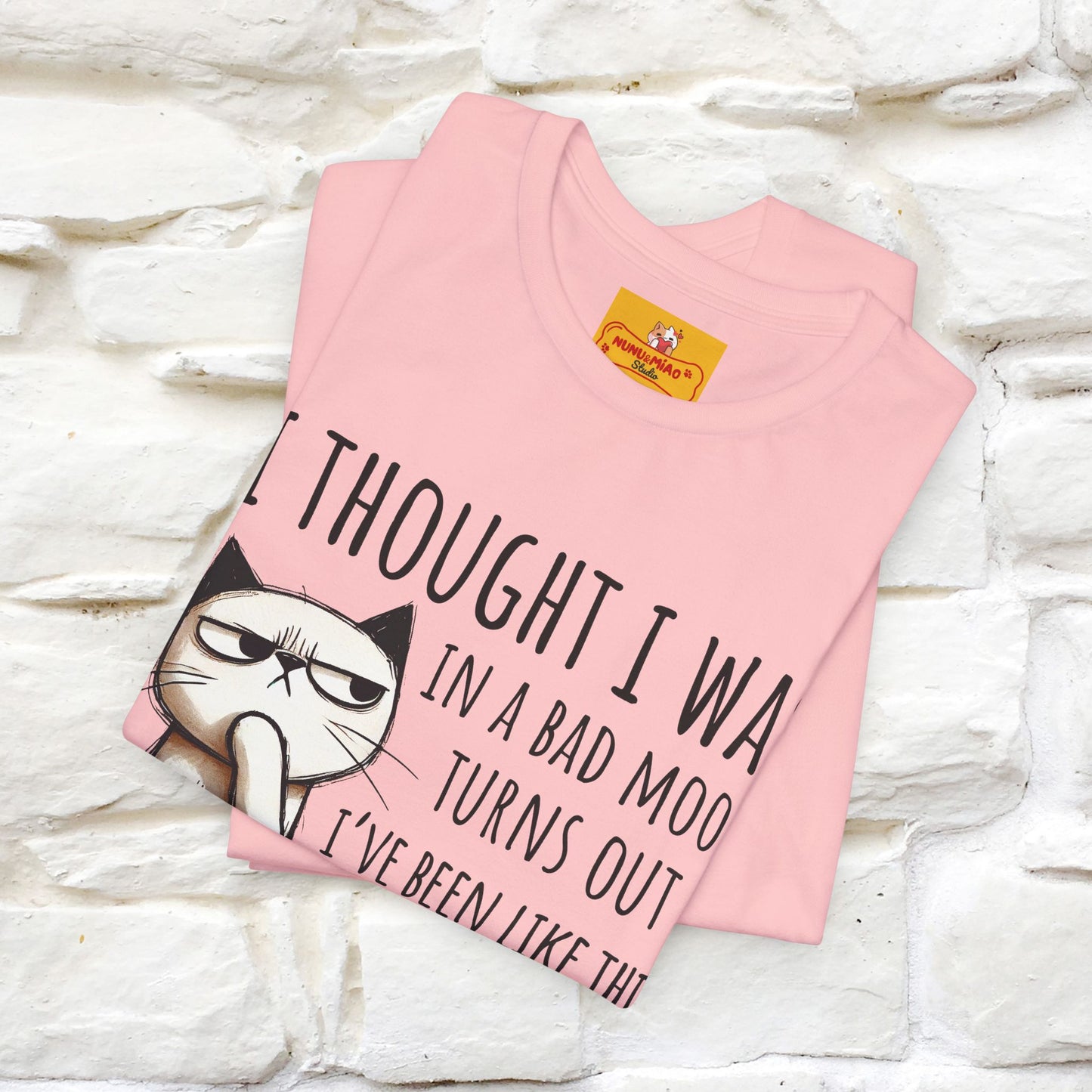 "I Thought I was In A Bad Mood.. " Cat  T-shirt |Nunu&Miao Studio