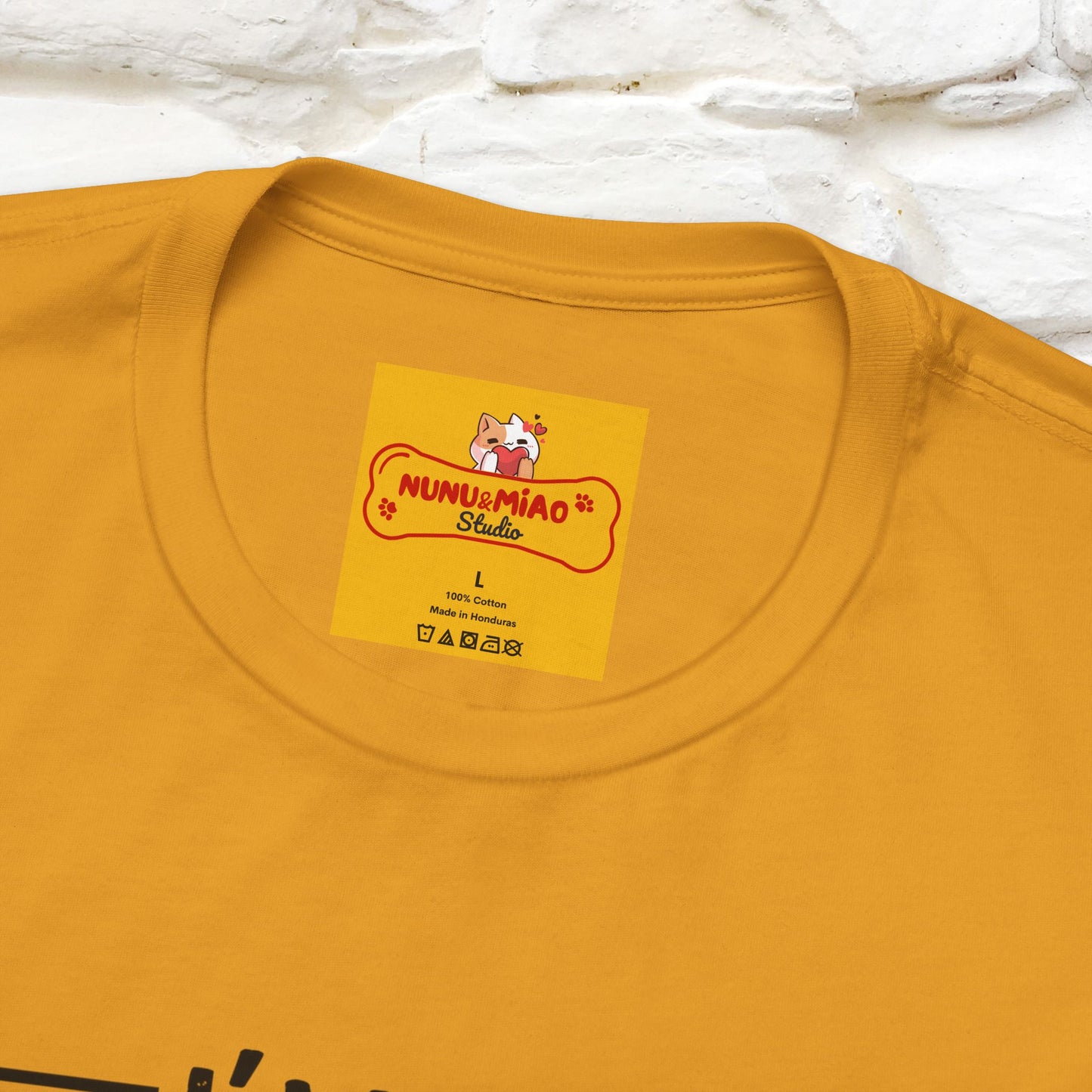 Non sto discutendo, sto spiegando perché ho ragione T-shirt con gatto per uomo e donna | 100% cotone* Maglietta divertente
