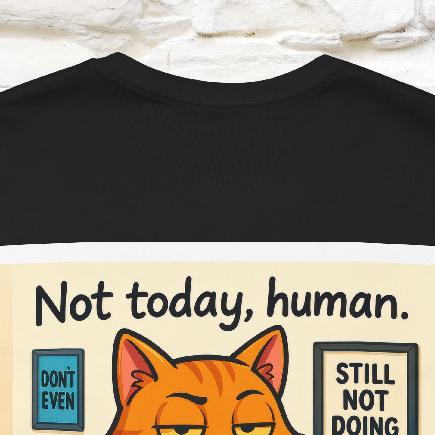 ''Not Today, Human''|  Sarcastic Cat T-Shirt | Front & Back Design | Nunu&Miao Studio