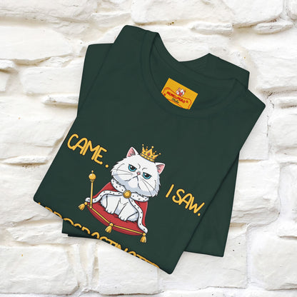 ''I came. I saw. I procrastinated.''| Funny T-Shirt | Nunu&Miao Studio
