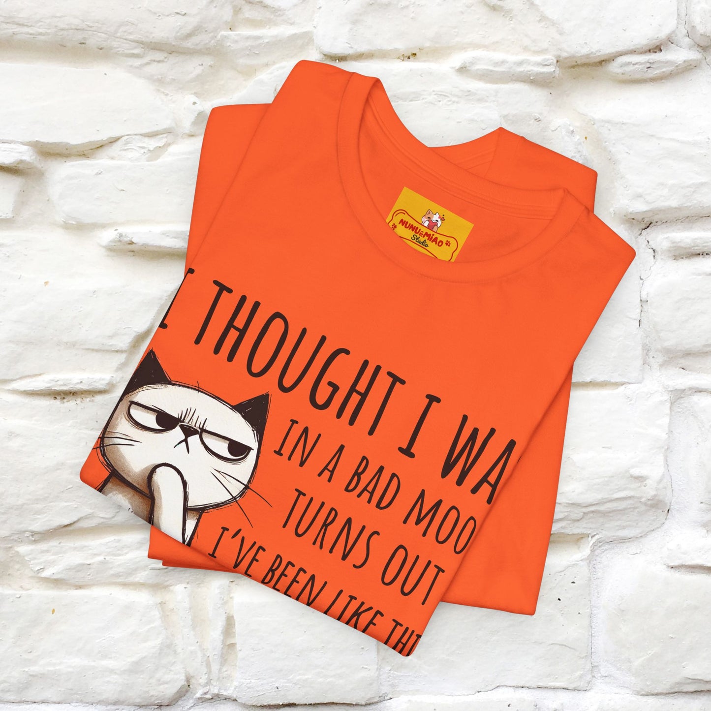 "I Thought I was In A Bad Mood.. " Cat  T-shirt |Nunu&Miao Studio