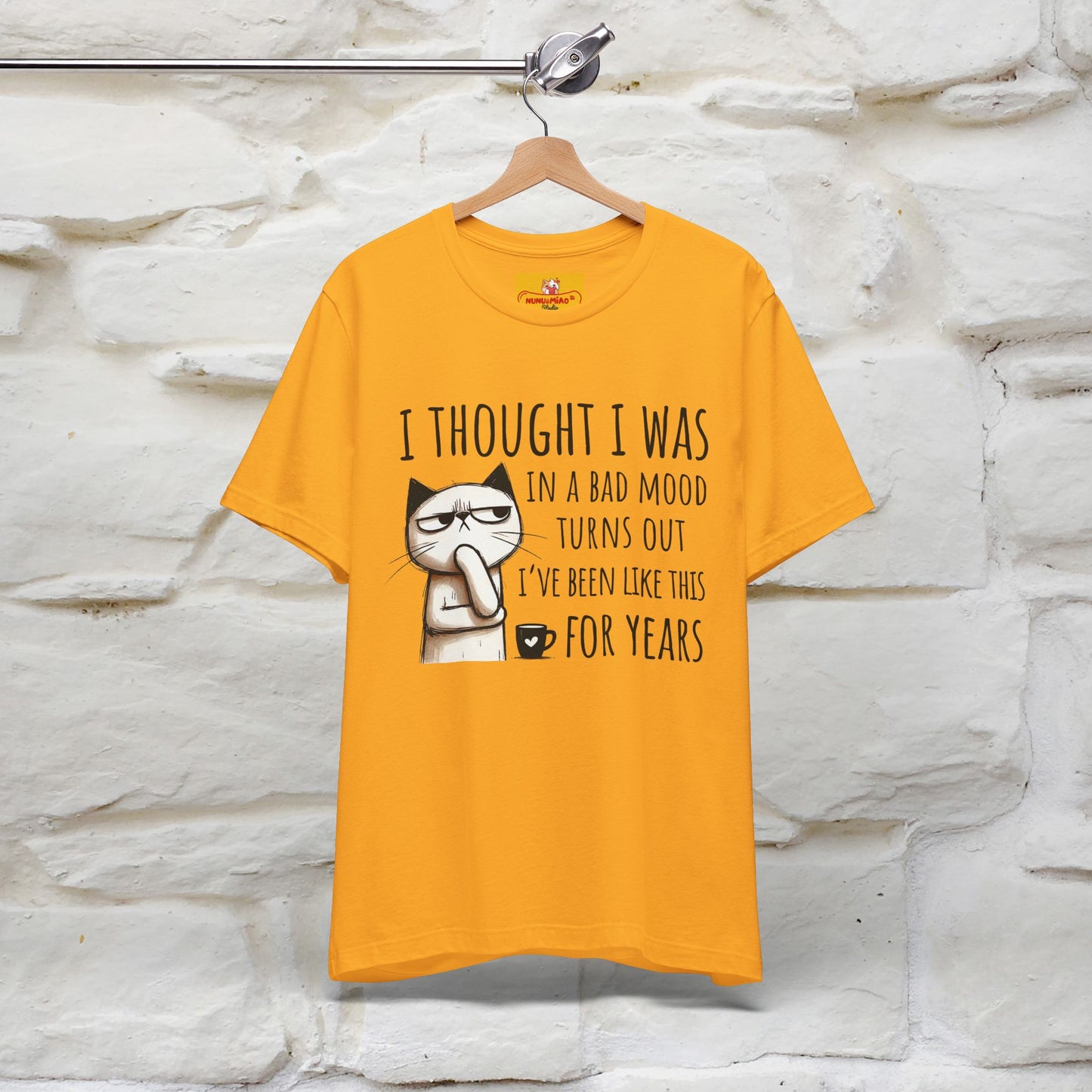 "I Thought I was In A Bad Mood.. " Cat  T-shirt |Nunu&Miao Studio