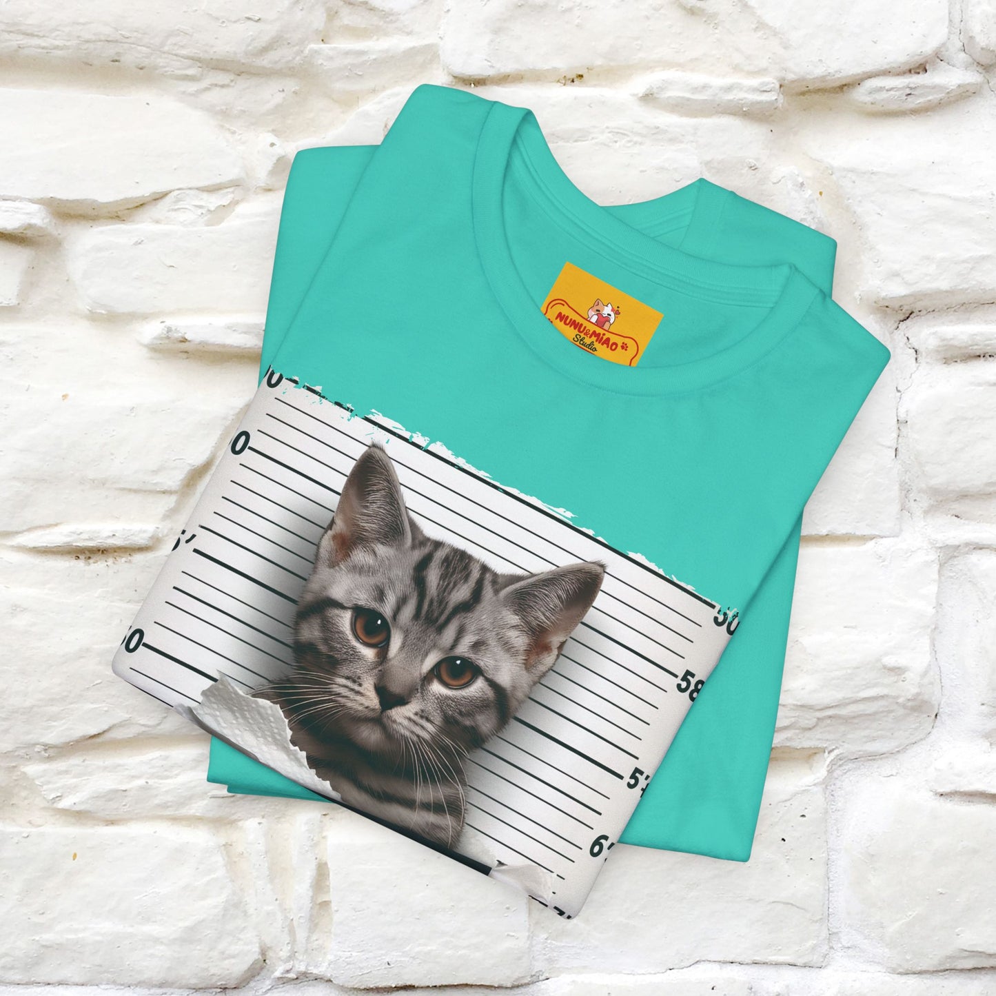 ''I Tore The Toilet Paper'' | Funny Cat T-Shirt | Nunu&Miao Studio
