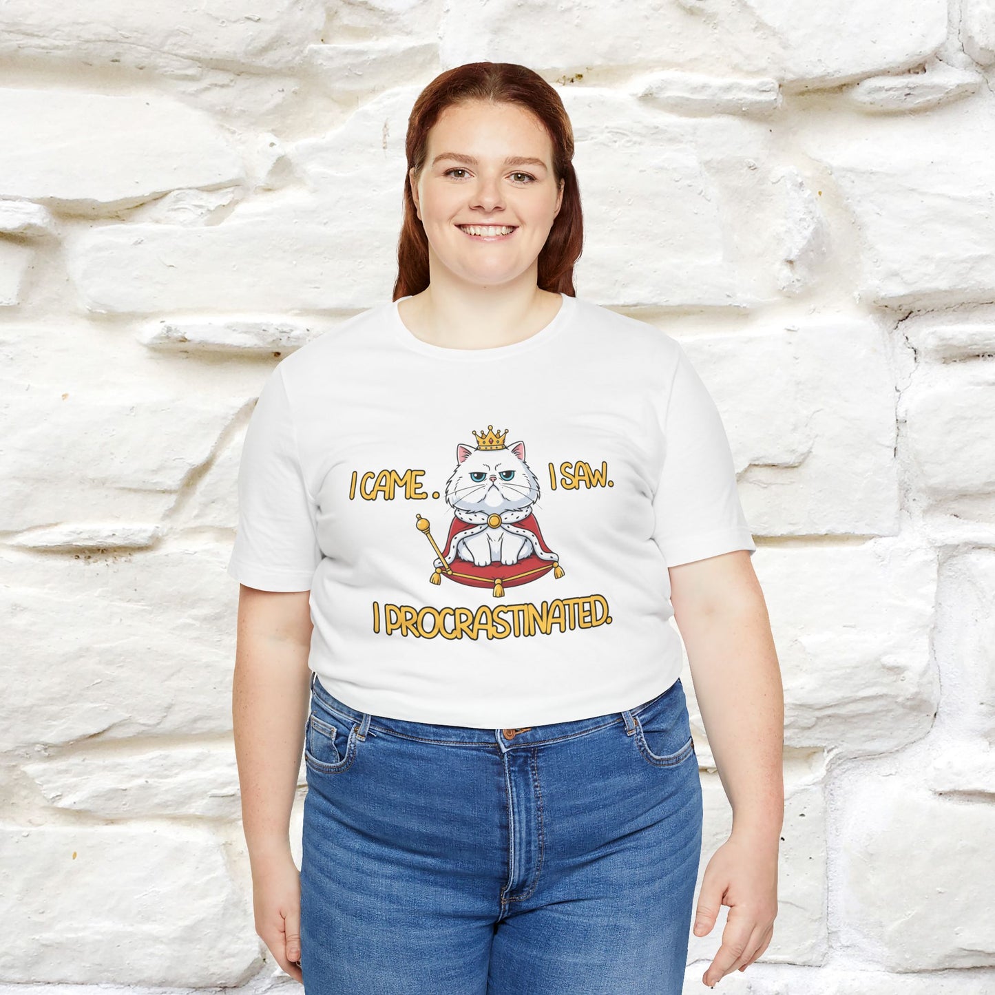 ''I came. I saw. I procrastinated.''| Funny T-Shirt | Nunu&Miao Studio