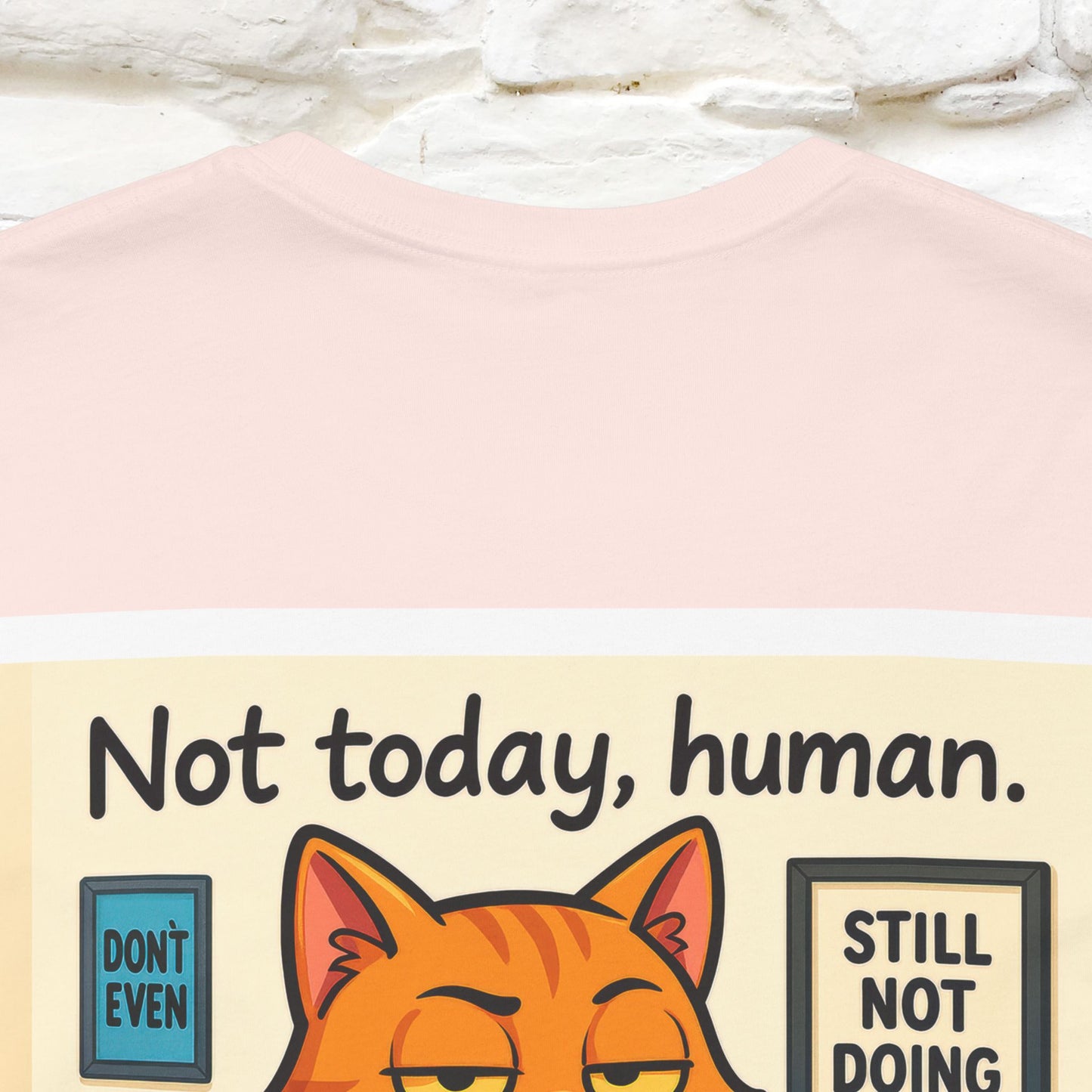 ''Not Today, Human''|  Sarcastic Cat T-Shirt | Front & Back Design | Nunu&Miao Studio