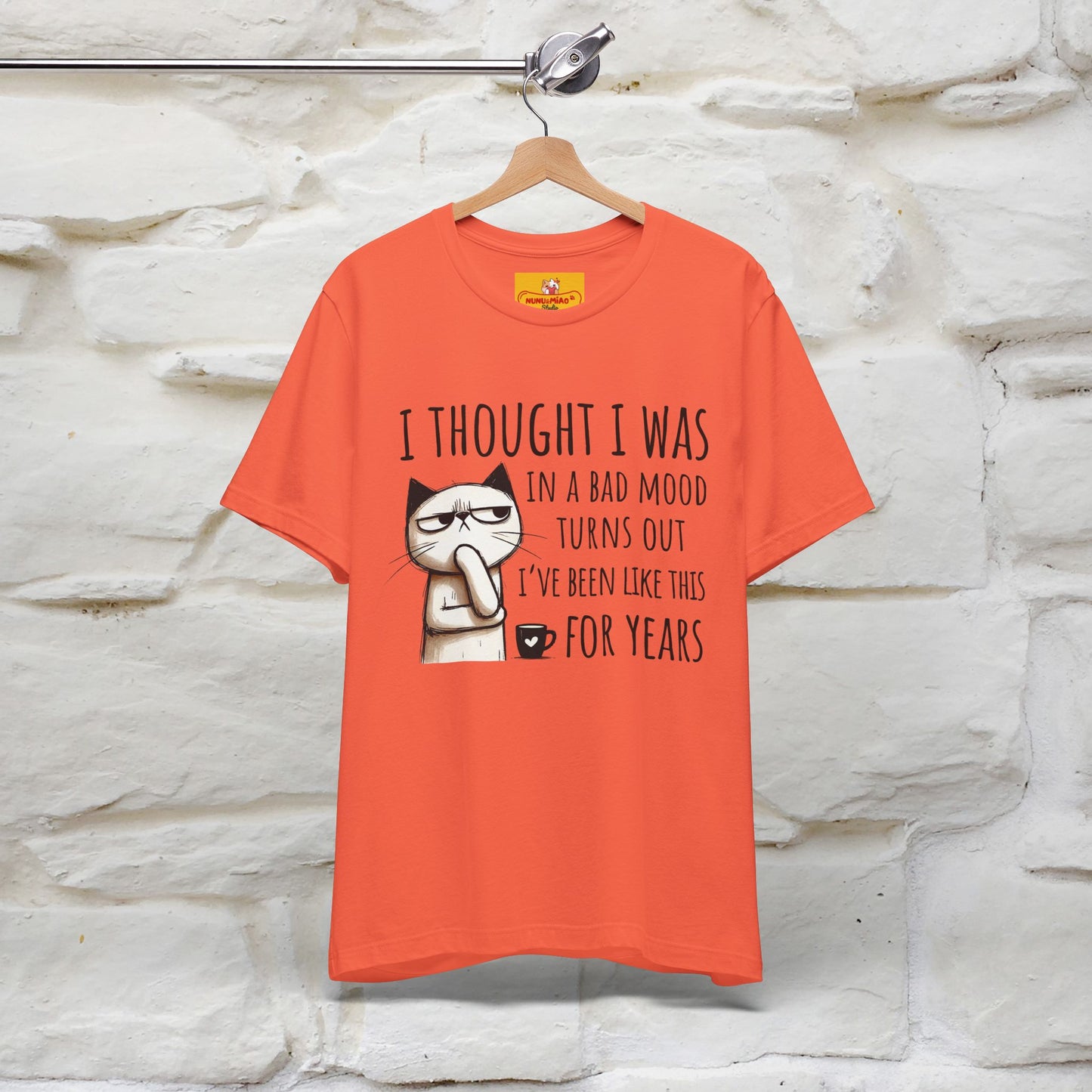 "I Thought I was In A Bad Mood.. " Cat  T-shirt |Nunu&Miao Studio