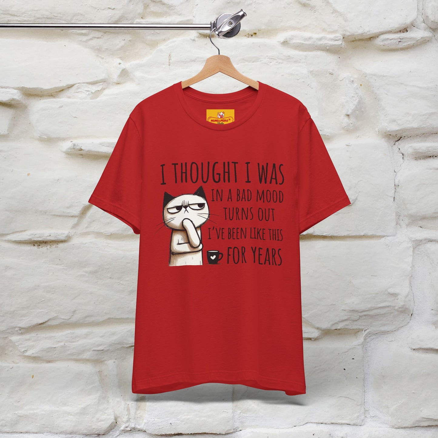 "I Thought I was In A Bad Mood.. " Cat  T-shirt |Nunu&Miao Studio
